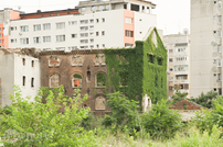 Moara lui Assan
