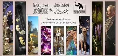 „Întâlnirea de duminică” se reia la Muzeul Antipa „Întâlnirea de duminică” se reia la Muzeul Antipa