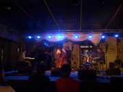 Dracula Bass Festival 2: Negrescu & Di Piazza, o combinaţie jazz-blues