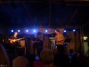 Dracula Bass Festival 2: Negrescu & Di Piazza, o combinaţie jazz-blues