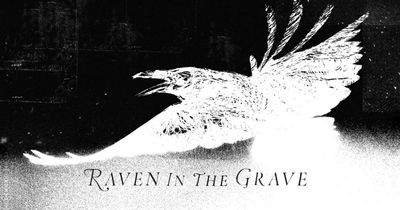 The Raveonettes - Raven in the Grave The Raveonettes - Raven in the Grave