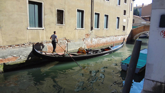 Venezia. Vitală și impunătoare
