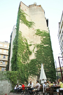 Dianei patru - Galerie Foto