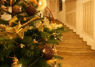 Revelion 2012 în Bucureşti: Carol Parc Hotel