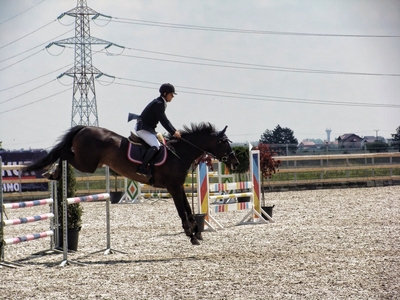 Număr record de participanţi la Grand Prix-ul României la echitaţie Număr record de participanţi la Grand Prix-ul României la echitaţie