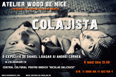 Expoziţia de colaj obiecte şi fotografie pe lemn „Colajista” Expoziţia de colaj obiecte şi fotografie pe lemn „Colajista”