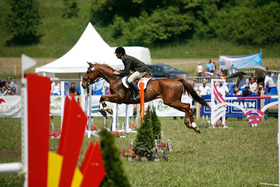 Transylvania Horse Show – concurs hipic lângă Sighişoara Transylvania Horse Show – concurs hipic lângă Sighişoara
