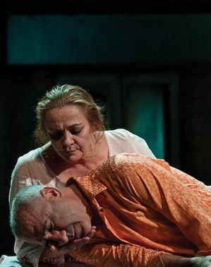 Programul Teatrului Bulandra în perioada 25-29 ianuarie Programul Teatrului Bulandra în perioada 25-29 ianuarie