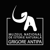 Micii Sanitari – ateliere de anatomie umană, igienă şi prim-ajutor Micii Sanitari – ateliere de anatomie umană, igienă şi prim-ajutor