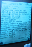 „Distrusul complet de arbor, arbust – amendă lei 5000!”