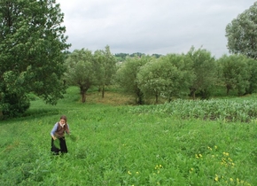 Beatrice Iordan (Trei Parale) - Nică în variantă feminină