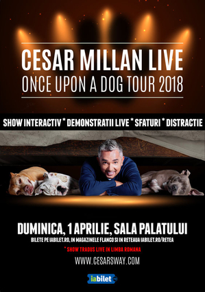 Cesar Millan Live! The Dog Whisperer revine la București! Cesar Millan Live! The Dog Whisperer revine la București!