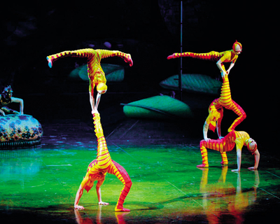 Cadouri teatrale Cadouri teatrale