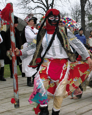 Festival: Florile dalbe Festival: Florile dalbe