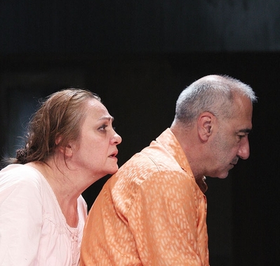 Meșteșugul vieții - Cronică de teatru Meșteșugul vieții - Cronică de teatru