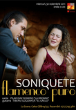 Soniquete, concert flamenco în La Scena