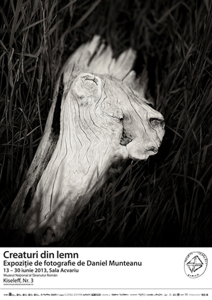 Creaturi din lemn – expoziţie de fotografie la MŢR Creaturi din lemn – expoziţie de fotografie la MŢR