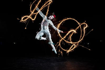 Quidam by Cirque du Soleil. Program și reguli de acces Quidam by Cirque du Soleil. Program și reguli de acces