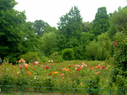 Grădina Botanică din București